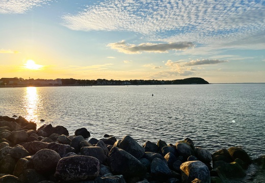 24-06-23 20-58-08 9825